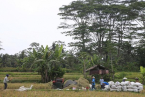 Pondok Gepokan Homestay